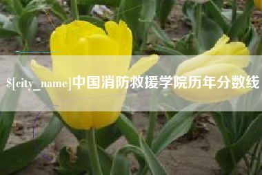敦煌中国消防救援学院历年分数线