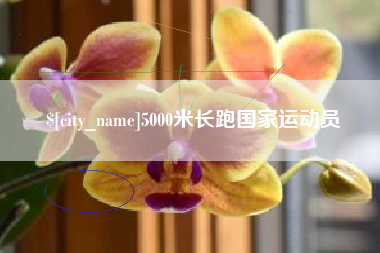 敦煌5000米长跑国家运动员