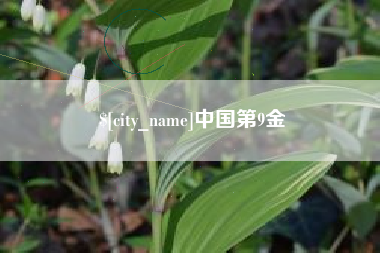 敦煌中国第9金