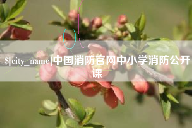 敦煌中国消防官网中小学消防公开课
