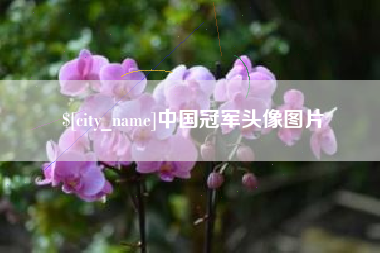敦煌中国冠军头像图片