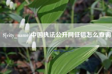 敦煌中国执法公开网征信怎么查询