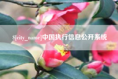 敦煌中国执行信息公开系统