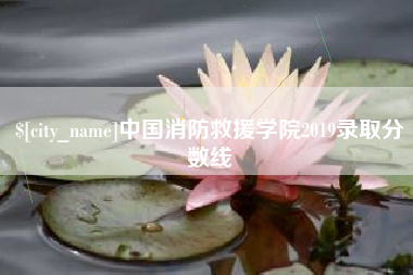 敦煌中国消防救援学院2019录取分数线