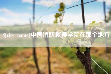 敦煌中国消防救援学院在那个地方