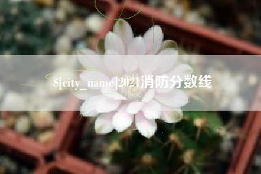 敦煌2021消防分数线