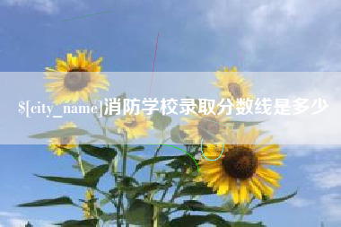 敦煌消防学校录取分数线是多少