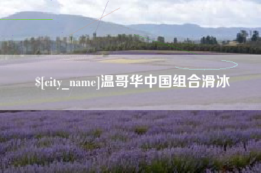 敦煌温哥华中国组合滑冰