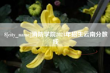 敦煌消防学院2024年招生云南分数线