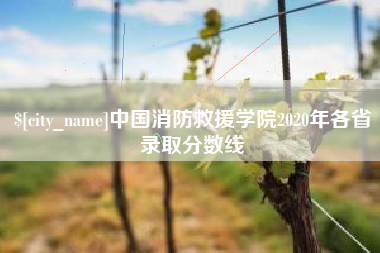 敦煌中国消防救援学院2020年各省录取分数线
