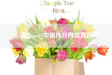 敦煌中国执行网信息官网