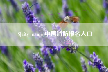 敦煌中国消防报名入口