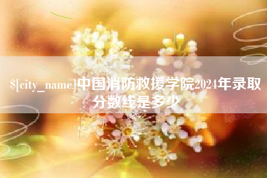 敦煌中国消防救援学院2024年录取分数线是多少