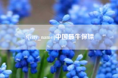 敦煌中国最牛保镖