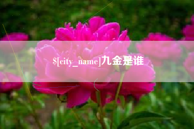 敦煌九金是谁