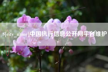 敦煌中国执行信息公开网平台维护