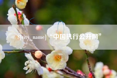 敦煌“中国执行公开网”