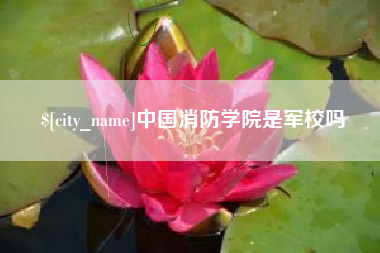 敦煌中国消防学院是军校吗