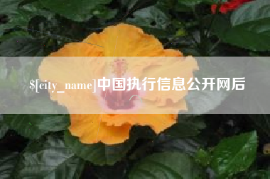 敦煌中国执行信息公开网后