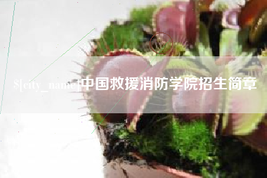 敦煌中国救援消防学院招生简章