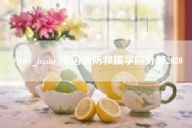 敦煌中国消防救援学院分数2020