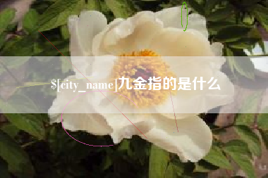 敦煌九金指的是什么