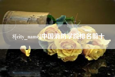敦煌中国消防学院排名前十