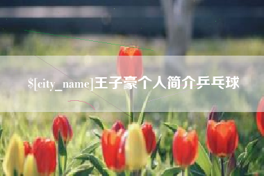 敦煌王子豪个人简介乒乓球