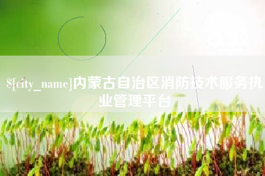 敦煌内蒙古自治区消防技术服务执业管理平台