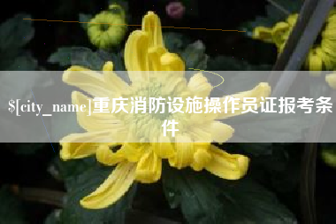 敦煌重庆消防设施操作员证报考条件