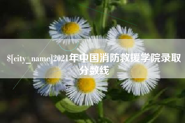 敦煌2021年中国消防救援学院录取分数线