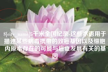 敦煌5千米全国纪录-这些术语用于描述某些病毒携带的致癌基因以及细胞内原本存在的可能与癌症发展有关的基因