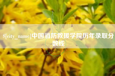敦煌中国消防救援学院历年录取分数线