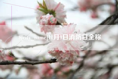 敦煌11月9日消防日全称