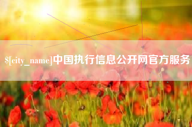 敦煌中国执行信息公开网官方服务