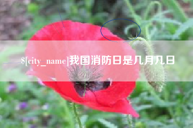 敦煌我国消防日是几月几日
