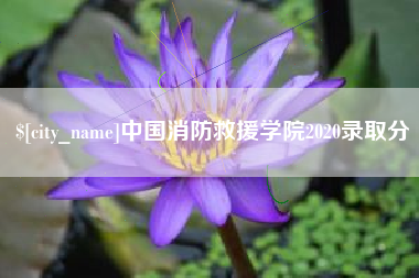 敦煌中国消防救援学院2020录取分