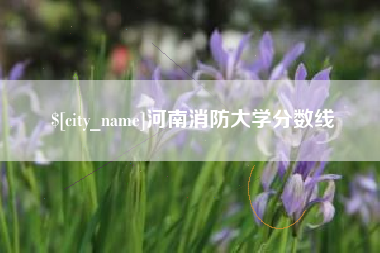 敦煌河南消防大学分数线