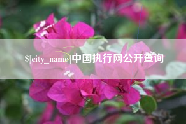 敦煌中国执行网公开查询