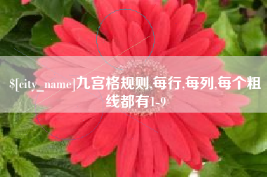 敦煌九宫格规则,每行,每列,每个粗线都有1-9
