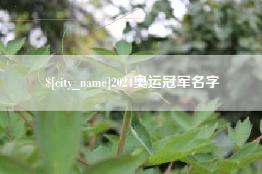 敦煌2024奥运冠军名字