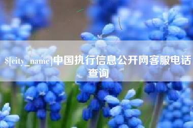 敦煌中国执行信息公开网客服电话查询