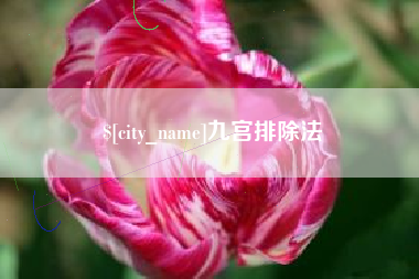 敦煌九宫排除法