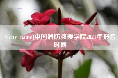 敦煌中国消防救援学院2021年报名时间