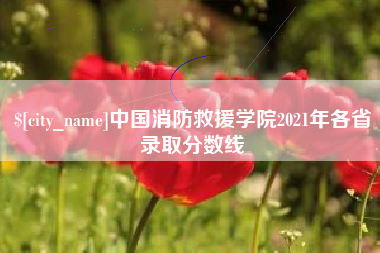 敦煌中国消防救援学院2021年各省录取分数线