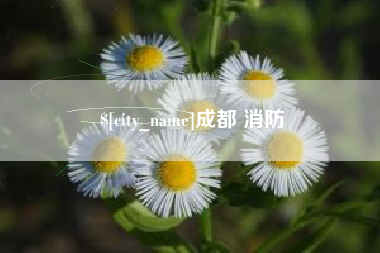 敦煌成都 消防