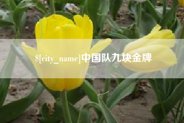 敦煌中国队九块金牌
