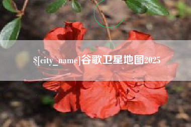 敦煌谷歌卫星地图2025