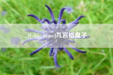 敦煌九宫格盘子