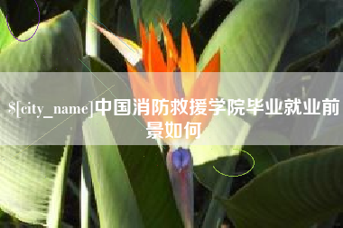 敦煌中国消防救援学院毕业就业前景如何